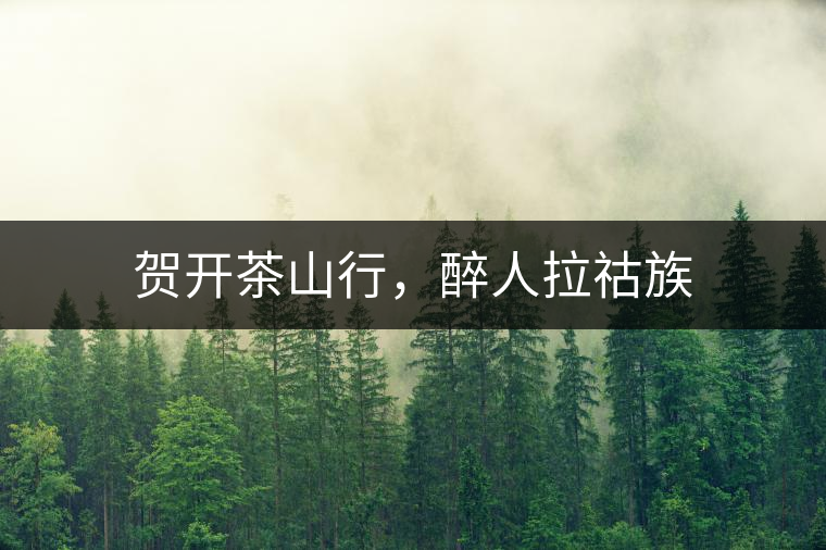 賀開茶山行，醉人拉祜族