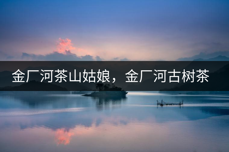 金廠河茶山姑娘，金廠河古樹茶特點(diǎn)與價(jià)格
