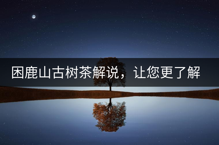 困鹿山古樹茶解說，讓您更了解古樹貢茶