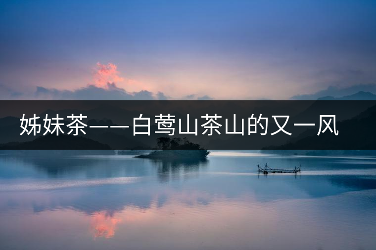 姊妹茶——白鶯山茶山的又一風景線