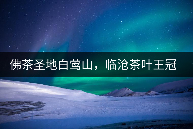 佛茶圣地白鶯山，臨滄茶葉王冠上的明珠