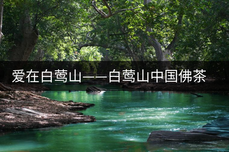 愛在白鶯山——白鶯山中國佛茶勝地