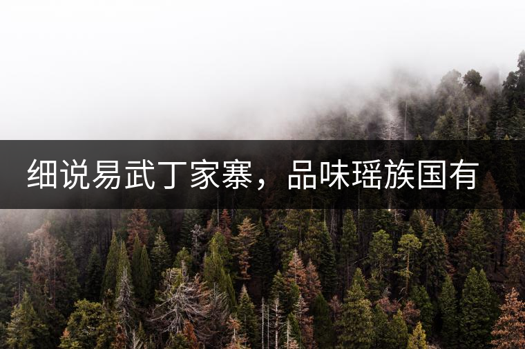 細(xì)說易武丁家寨，品味瑤族國有林古樹普洱茶