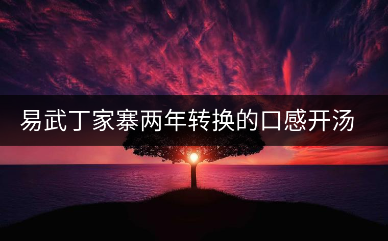 易武丁家寨兩年轉(zhuǎn)換的口感開湯品鑒
