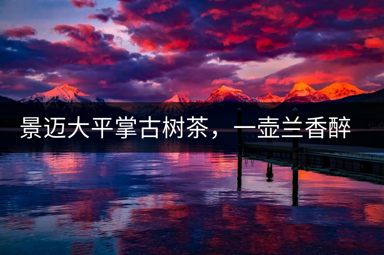 景邁大平掌古樹茶，一壺蘭香醉春秋