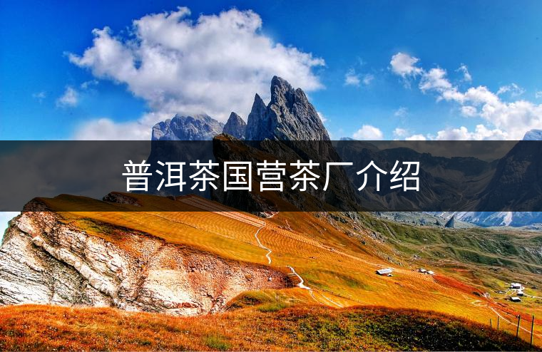 普洱茶國營茶廠介紹