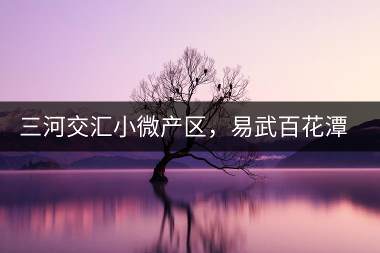 三河交匯小微產(chǎn)區(qū)，易武百花潭古茶園介紹