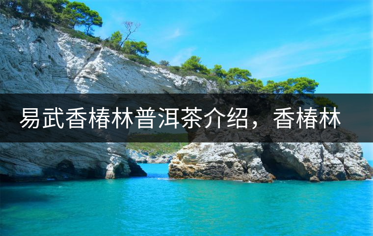 易武香椿林普洱茶介紹，香椿林古樹茶口感特點(diǎn)