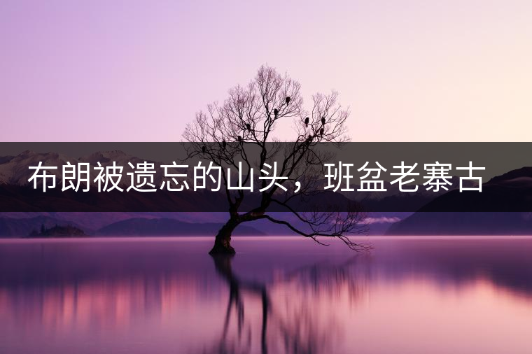 布朗被遺忘的山頭，班盆老寨古茶園介紹