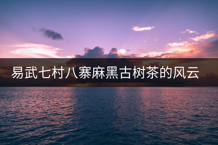 易武七村八寨麻黑古樹茶的風(fēng)云浮沉