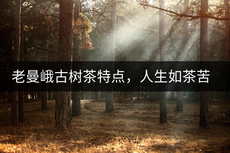 老曼峨古樹茶特點(diǎn)，人生如茶苦盡甘來