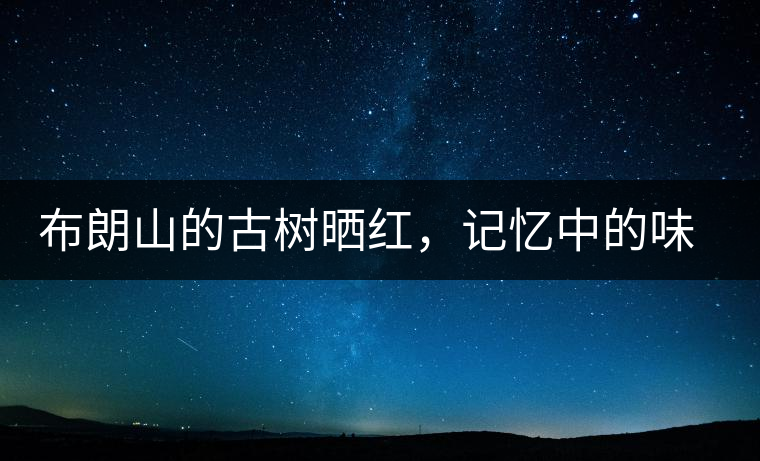 布朗山的古樹(shù)曬紅，記憶中的味道