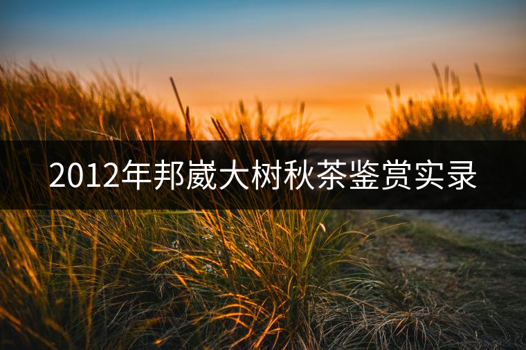 2012年邦崴大樹(shù)秋茶鑒賞實(shí)錄