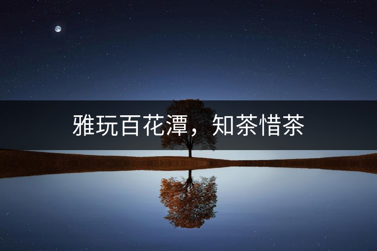 雅玩百花潭，知茶惜茶