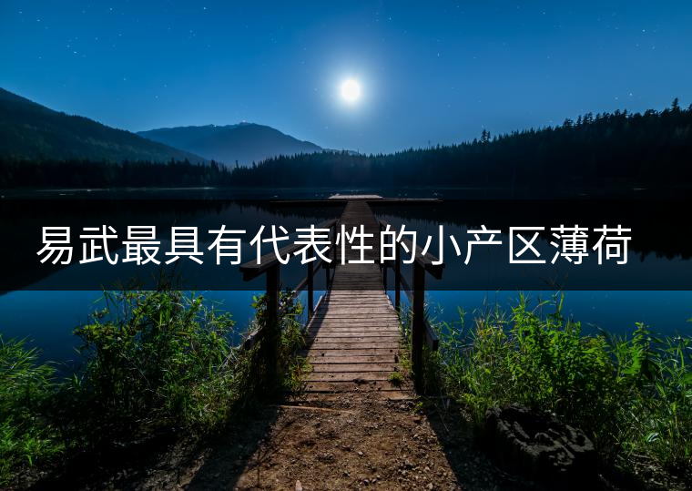 易武最具有代表性的小產(chǎn)區(qū)薄荷塘，一滴都不舍得浪費(fèi)