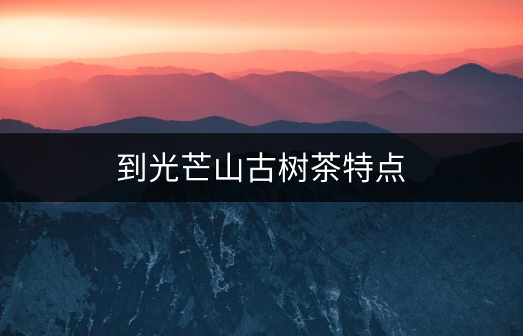 到光芒山古樹(shù)茶特點(diǎn) 到光芒山古樹(shù)茶特點(diǎn)