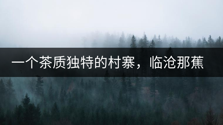 一個茶質(zhì)獨(dú)特的村寨，臨滄那蕉古樹茶介紹