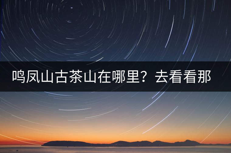 鳴鳳山古茶山在哪里？去看看那鳳凰曾經(jīng)落腳的地方