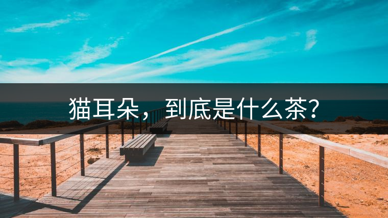 貓耳朵，到底是什么茶？