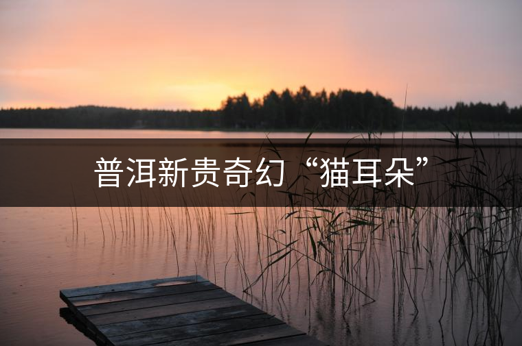 普洱新貴奇幻“貓耳朵”