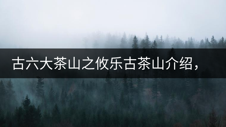 古六大茶山之攸樂(lè)古茶山介紹，攸樂(lè)古樹茶口感特點(diǎn)