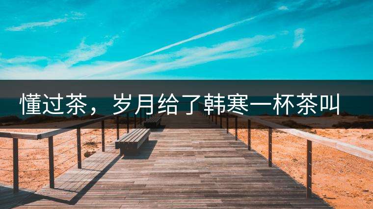 懂過茶，歲月給了韓寒一杯茶叫懂過