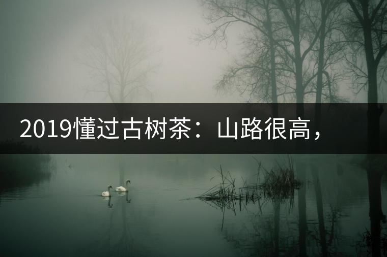 2019懂過古樹茶：山路很高，可仍然有執(zhí)著走向深山的人