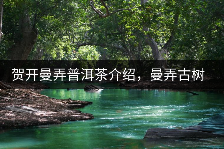 賀開曼弄普洱茶介紹，曼弄古樹茶口感特點