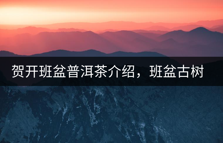 賀開班盆普洱茶介紹，班盆古樹茶口感特點