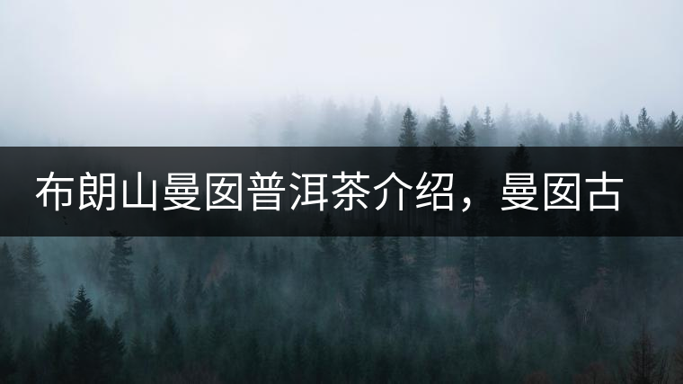 布朗山曼囡普洱茶介紹，曼囡古樹(shù)茶口感特點(diǎn)