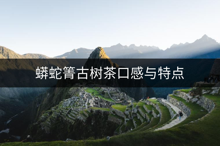蟒蛇箐古樹茶口感與特點