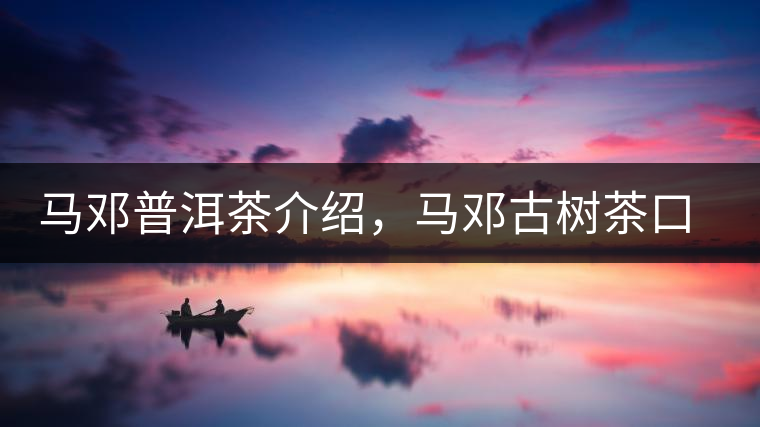 馬鄧普洱茶介紹，馬鄧古樹茶口感特點(diǎn)