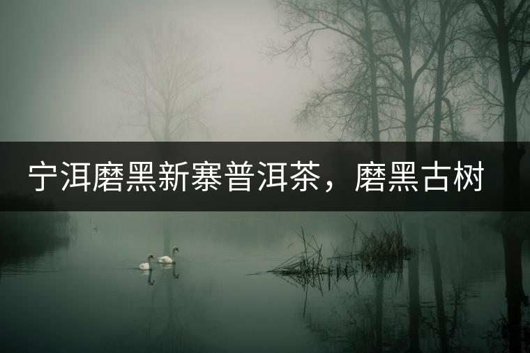 寧洱磨黑新寨普洱茶，磨黑古樹茶口感特點