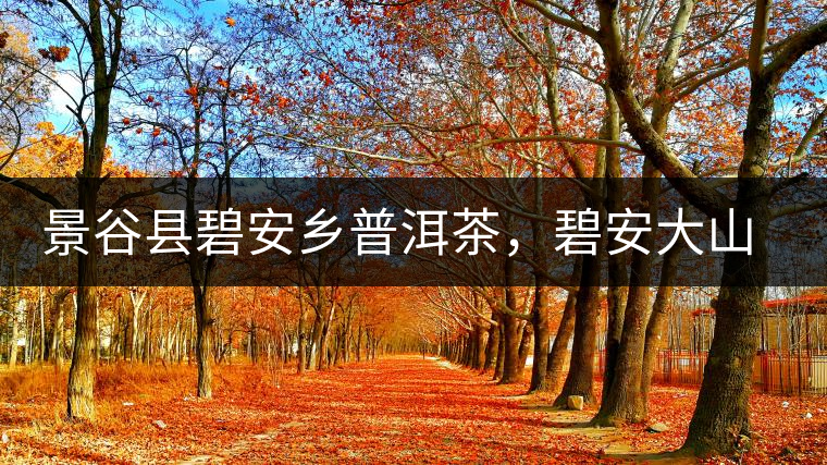 景谷縣碧安鄉(xiāng)普洱茶，碧安大山古樹茶口感特點(diǎn)