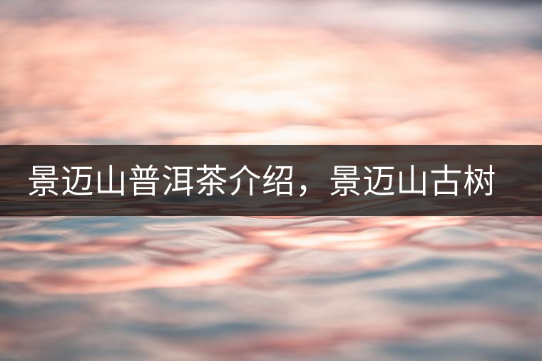 景邁山普洱茶介紹，景邁山古樹茶口感特點