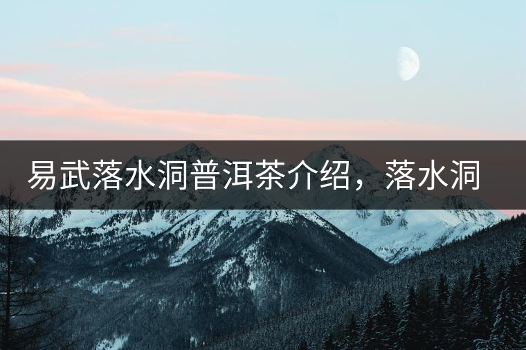 易武落水洞普洱茶介紹，落水洞古樹茶口感特點