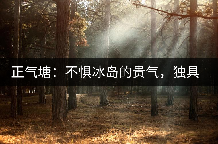 正氣塘：不懼冰島的貴氣，獨(dú)具冰島之魅力