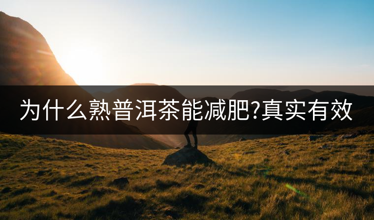 為什么熟普洱茶能減肥?真實(shí)有效嗎？