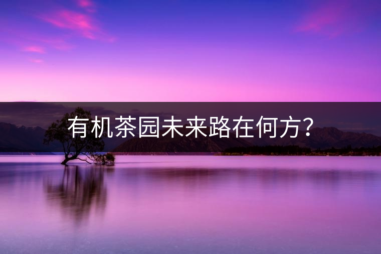 有機茶園未來路在何方？