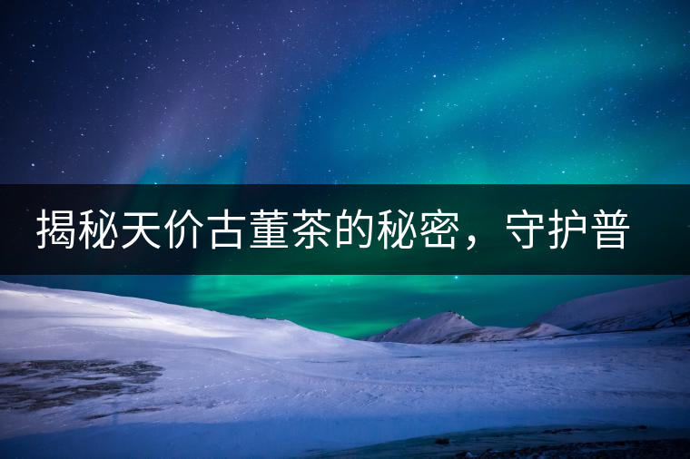 揭秘天價古董茶的秘密，守護(hù)普洱茶的健康發(fā)展