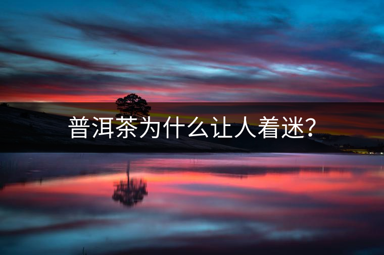 普洱茶為什么讓人著迷？
