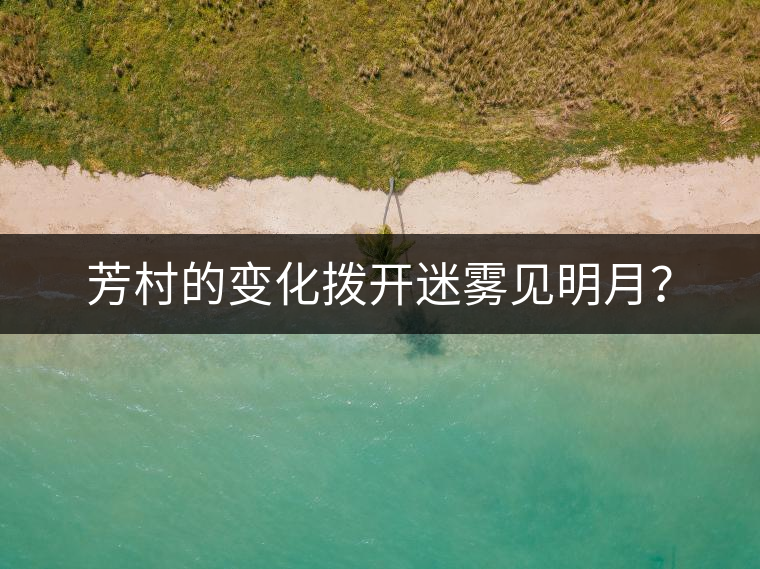 芳村的變化撥開迷霧見明月？