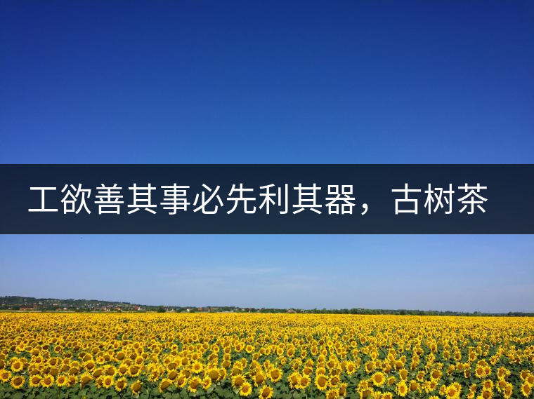 工欲善其事必先利其器，古樹茶用什么茶器最好？