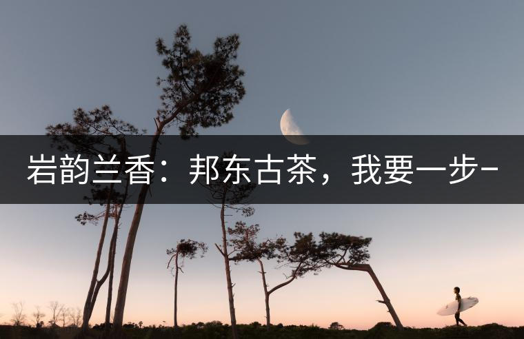 巖韻蘭香：邦東古茶，我要一步一步往上爬！