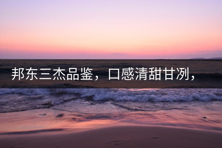 邦東三杰品鑒，口感清甜甘冽，香氣富于變化