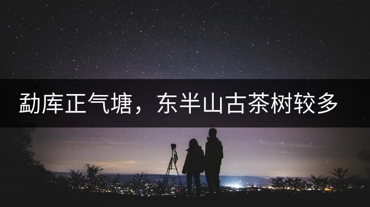 勐庫(kù)正氣塘，東半山古茶樹較多的寨子