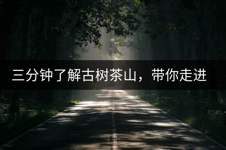 三分鐘了解古樹茶山，帶你走進西蒙佛殿山