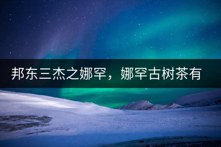 邦東三杰之娜罕，娜罕古樹(shù)茶有什么特點(diǎn)？