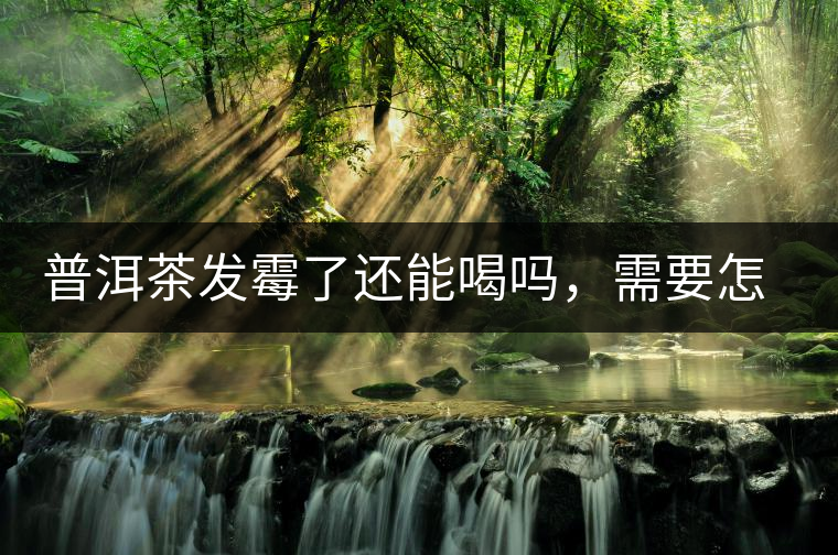 普洱茶發(fā)霉了還能喝嗎，需要怎么處理？