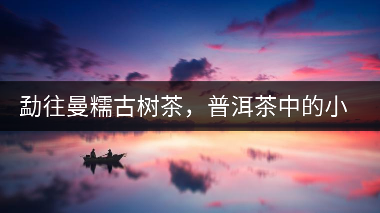 勐往曼糯古樹(shù)茶，普洱茶中的小班章